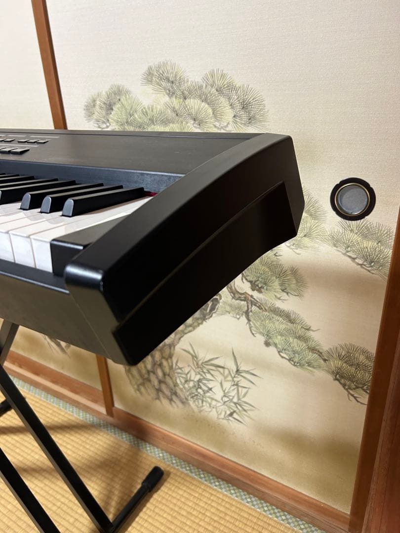Roland Keyboard Electronic Piano Rd-700Sx