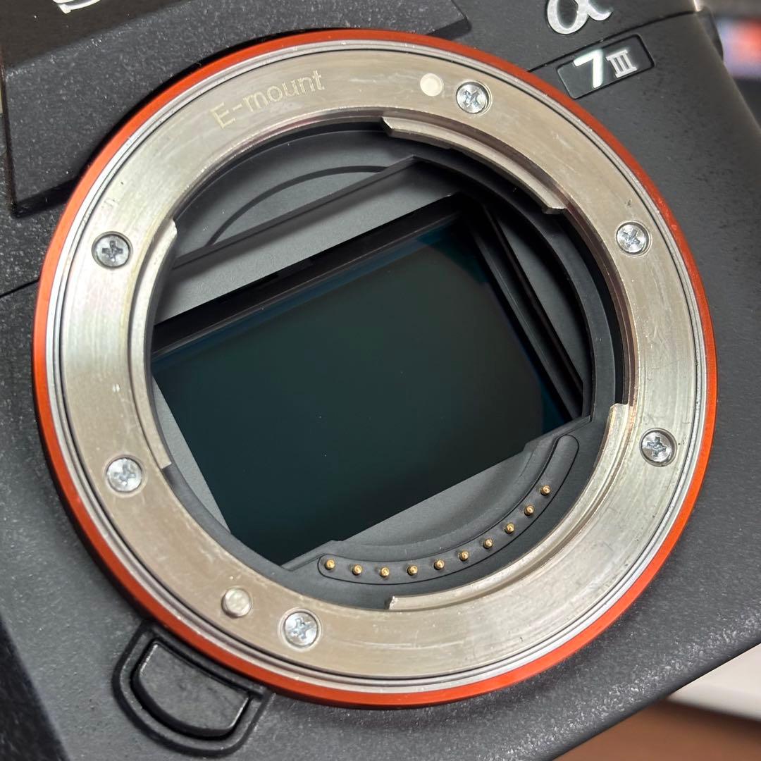 Mirrorless Interchangeable Lips Sony 7 Iii Ilce-7M3 14,750