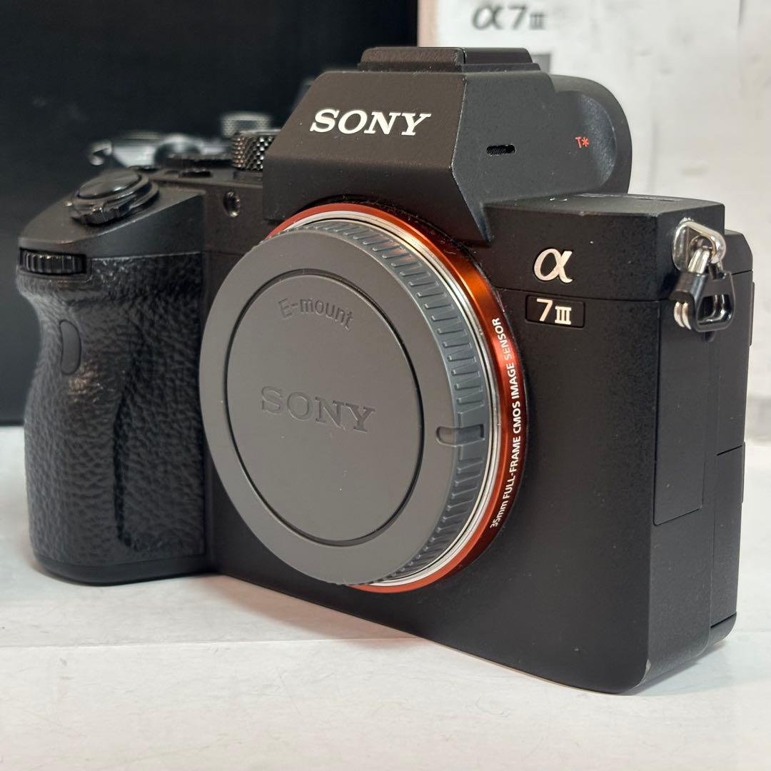 Mirrorless Interchangeable Lips Sony 7 Iii Ilce-7M3 14,750