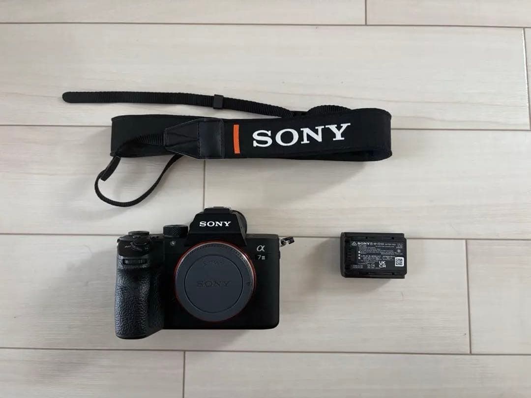 Sony Mirrorless Interchangeable Lips 7 Iii Ilce-7M3