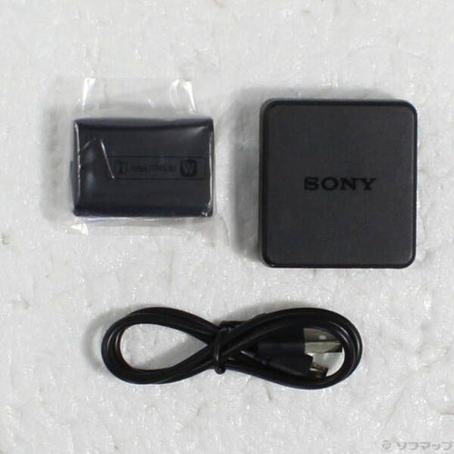 Sony Mirrorless Interchangeable Lips 5100 Ilce-5100 348