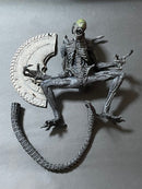 Sci Fi, Fantasy Horror 12