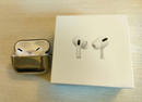Apple Airpods Body Pro Lightning
