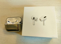 Apple Airpods Body Pro Lightning