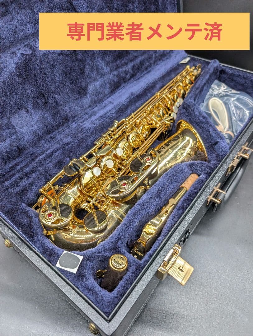Yamaha Saxophones Yas-875Ex
