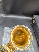 Yamaha Saxophones Yas-875Ex