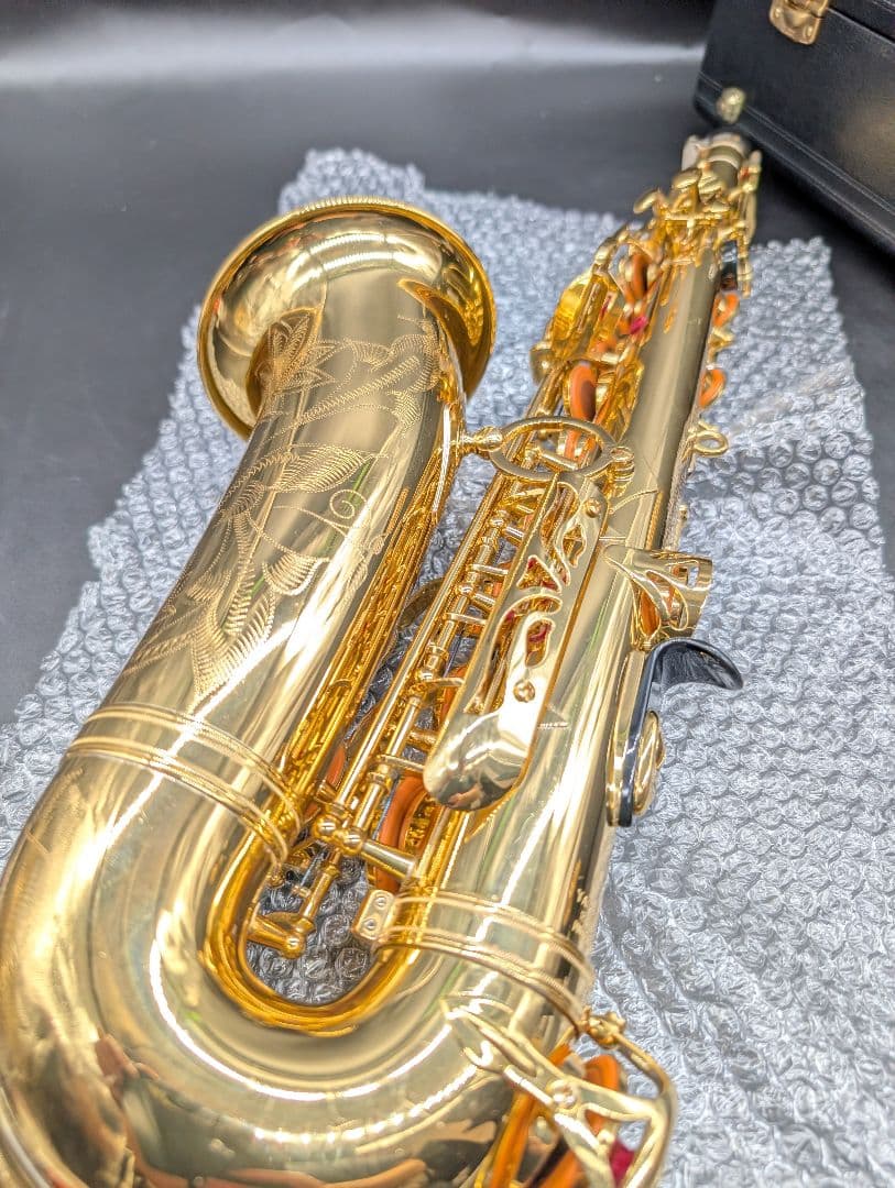 Yamaha Saxophones Yas-875Ex