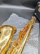 Yamaha Saxophones Yas-875Ex