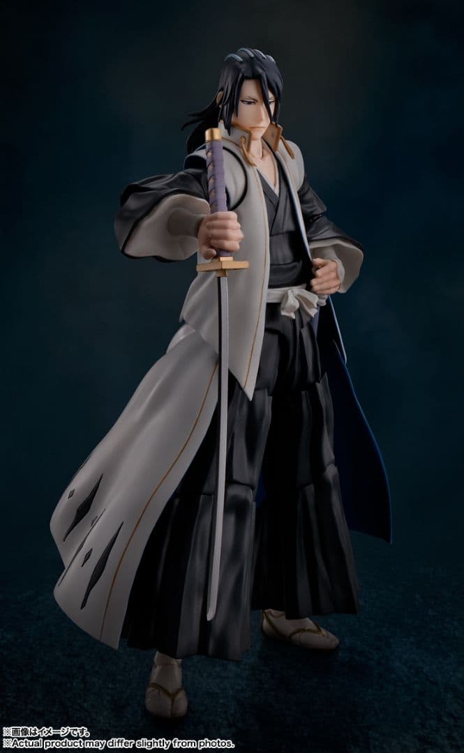 Others S.H.Figuarts Bleach