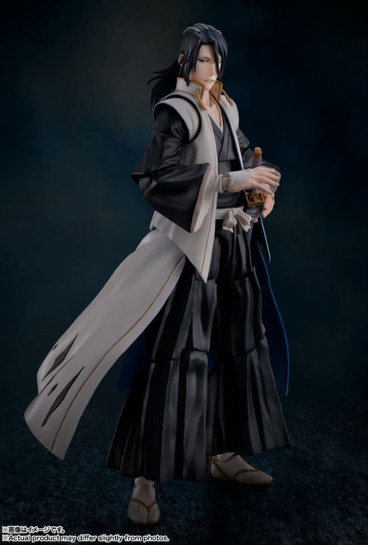 Others S.H.Figuarts Bleach