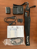 Sony Mirrorless Interchangeable Lens Cameras 7Rm3