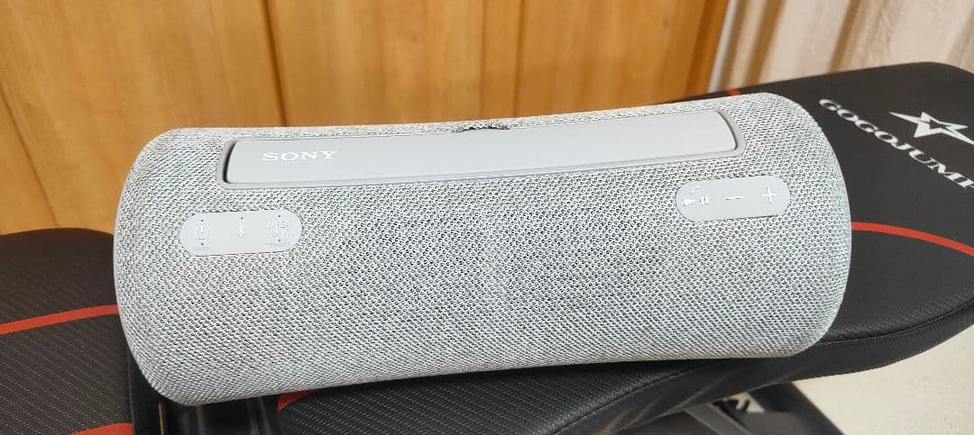 Sony Speakers Srs-Xg300