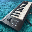 Korg Midi Keyboard Pad Microkey 25 Usb