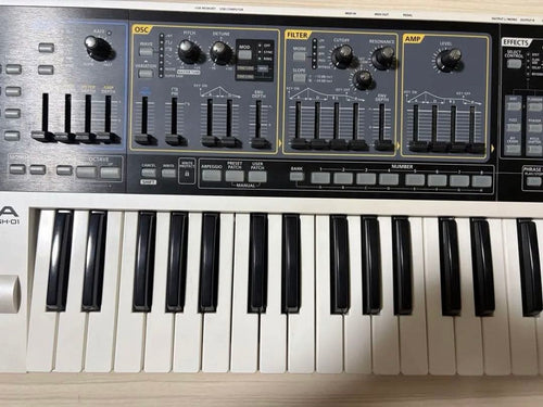 Roland Analog Synthesizer Gaia 37