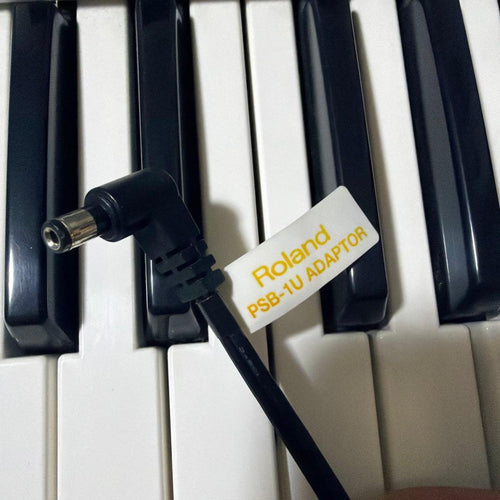Roland Analog Synthesizer Gaia 37