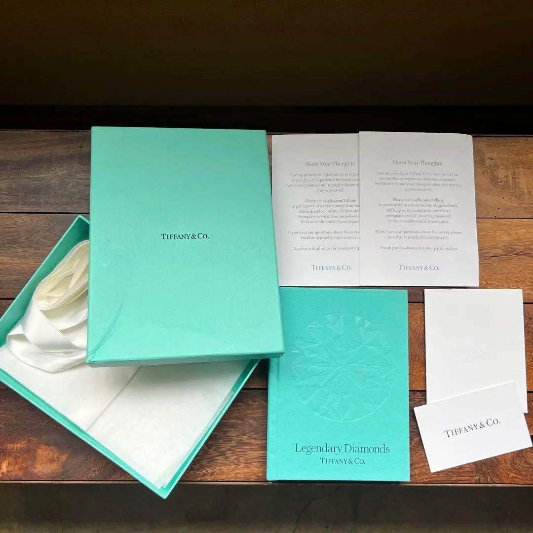 Tiffany Shopping Bags Co.