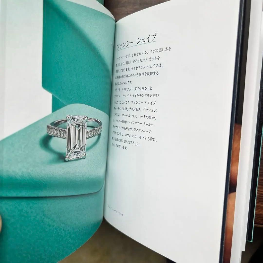 Tiffany Shopping Bags Co.