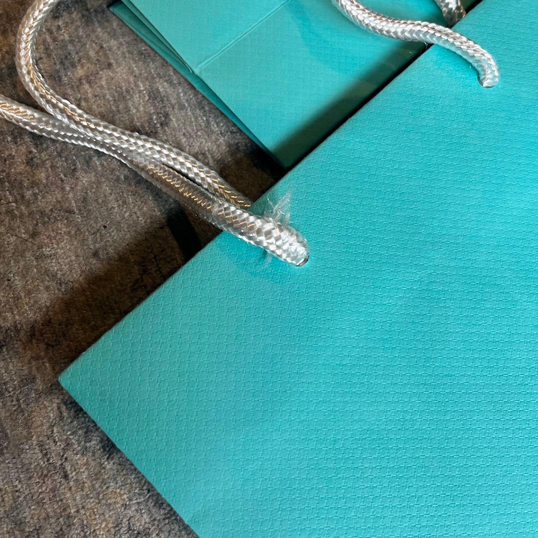 Tiffany Shopping Bags Co.