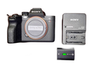 Mirrorless Interchangeable Lips Sony A7Rv