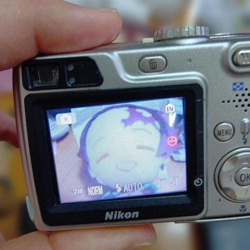 Nikon Compact Digital Cameras Coolpix 7900 Sd