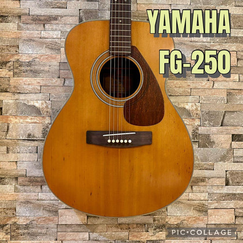 Yamaha Acoustic Guitars Fg250