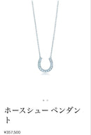 Tiffany Necklaces Pt950