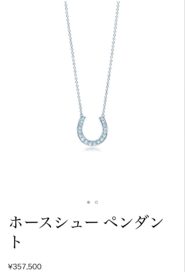 Tiffany Necklaces Pt950
