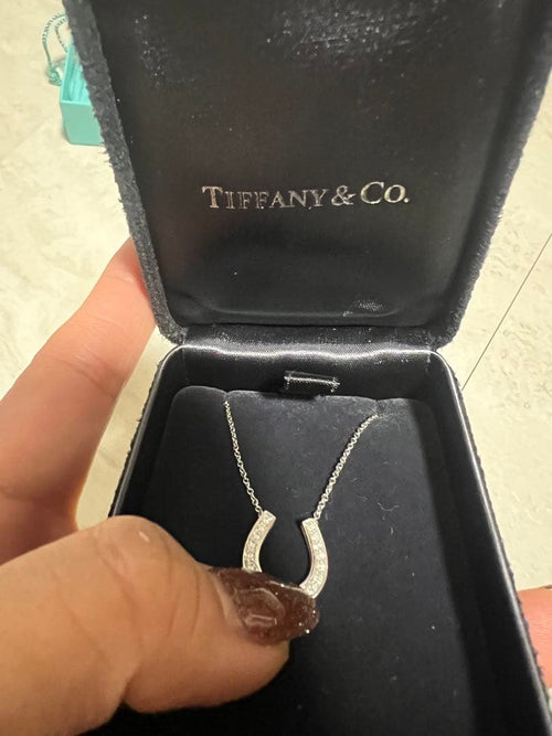 Tiffany Necklaces Pt950