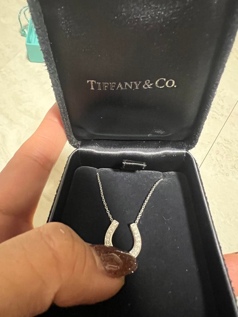 Tiffany Necklaces Pt950