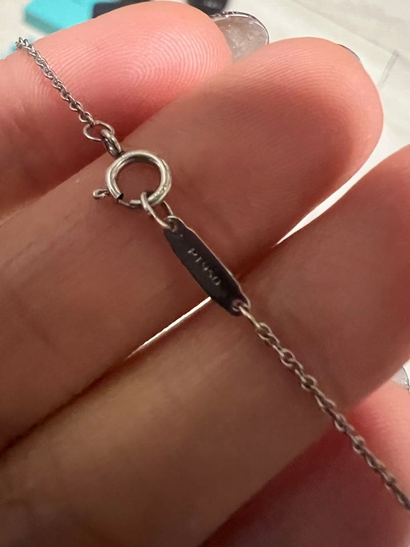 Tiffany Necklaces Pt950