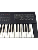 Roland Analog Synthesizers D-10 61