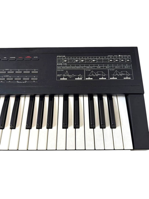 Roland Analog Synthesizers D-10 61