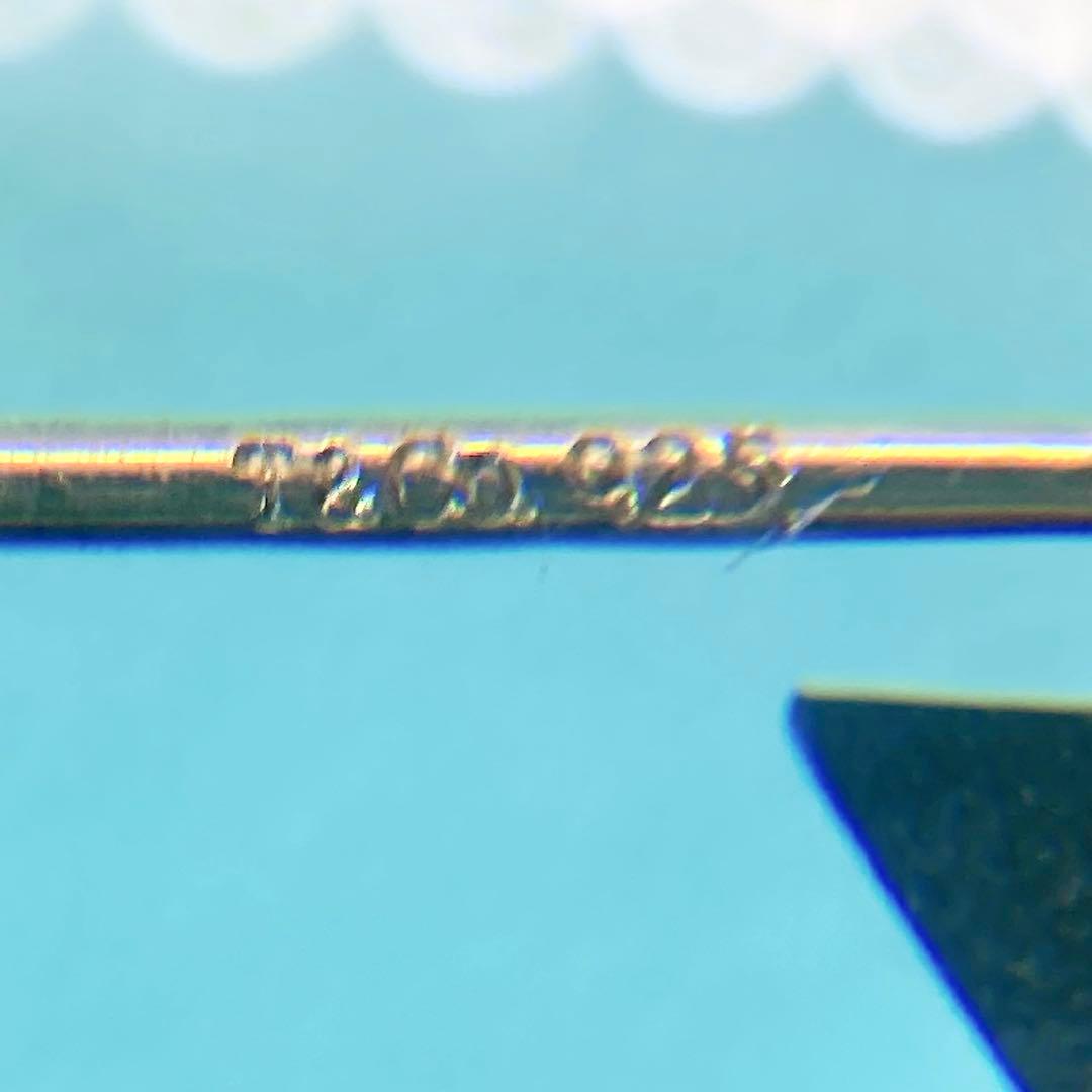 Tiffany Earrings (Single) 925