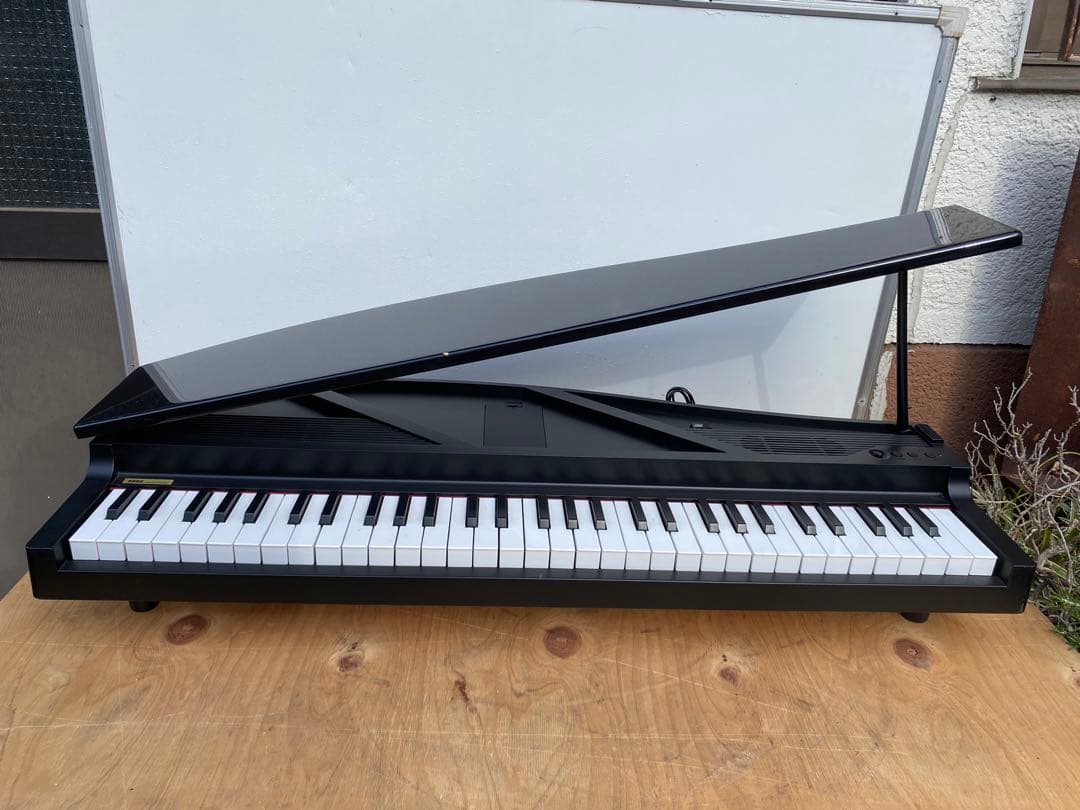 Korg Keyboard Electronic Piano Micro