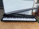 Korg Keyboard Electronic Piano Micro