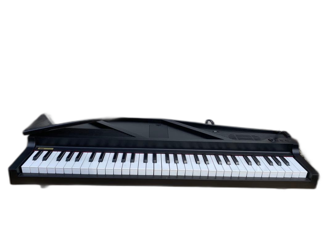 Korg Keyboard Electronic Piano Micro