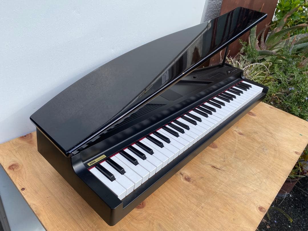 Korg Keyboard Electronic Piano Micro