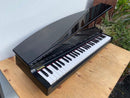 Korg Keyboard Electronic Piano Micro