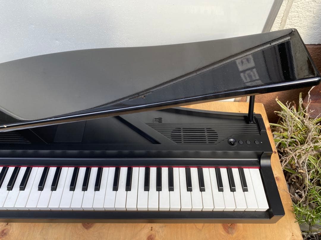 Korg Keyboard Electronic Piano Micro