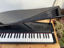 Korg Keyboard Electronic Piano Micro