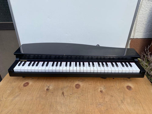 Korg Keyboard Electronic Piano Micro