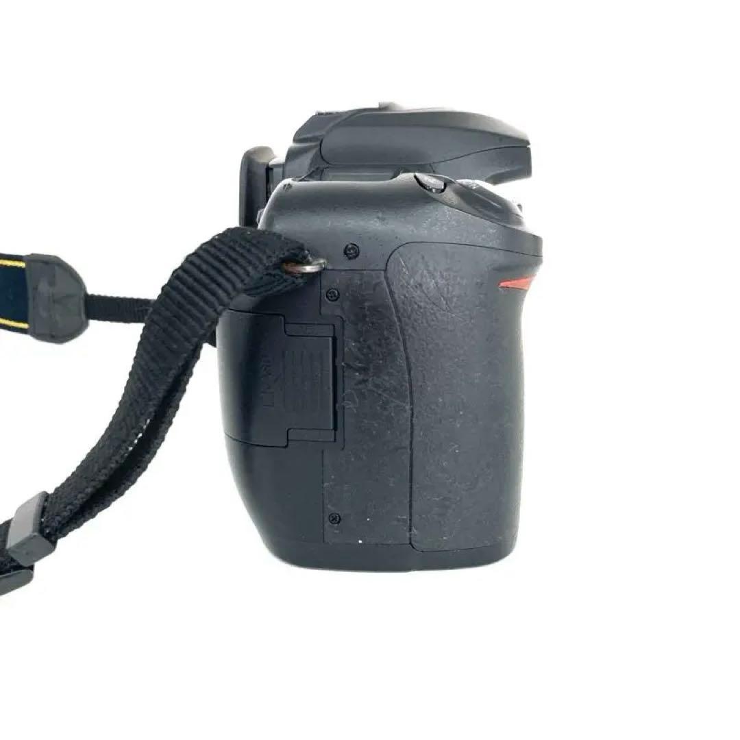 Nikon Digital Slrs D50