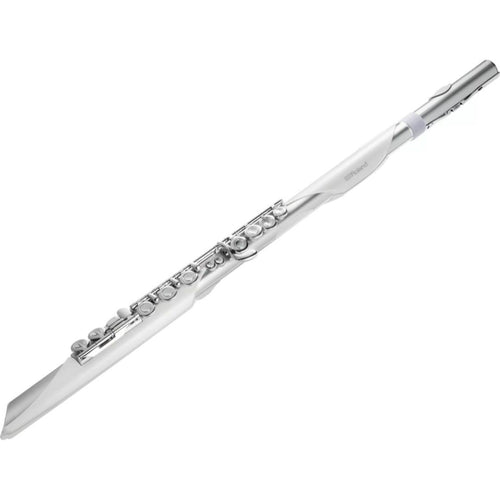 Roland Other Aerophone Brisa Ae-Brisa