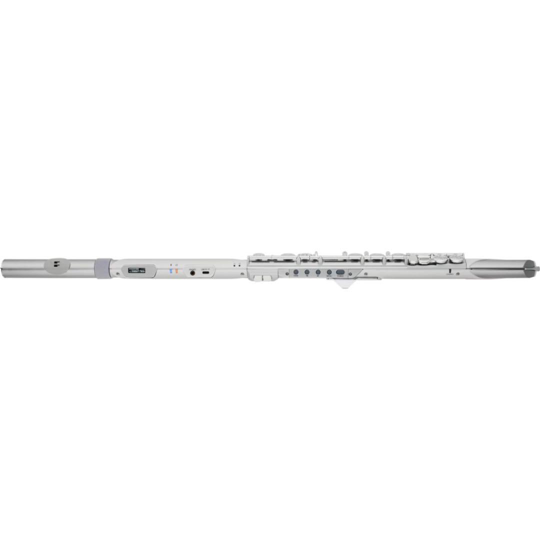 Roland Other Aerophone Brisa Ae-Brisa