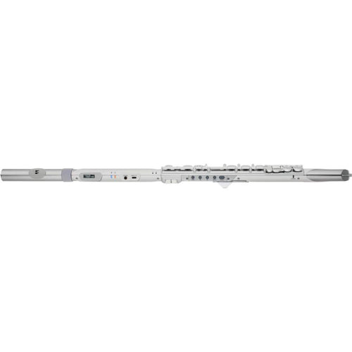 Roland Other Aerophone Brisa Ae-Brisa