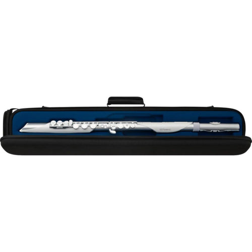 Roland Other Aerophone Brisa Ae-Brisa
