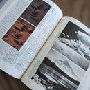 Art, Design Music Kodak
