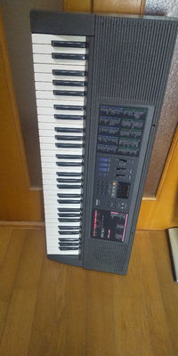 Casio Keyboards Digital Pianos