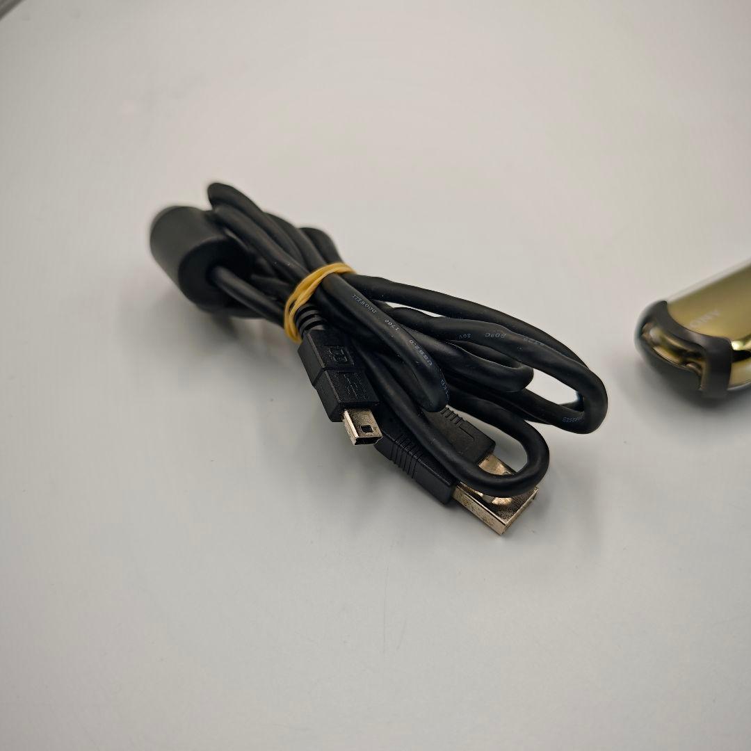 Sony Digital Audio Player Network Walkman Nw E507