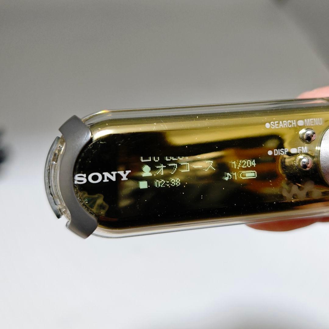 Sony Digital Audio Player Network Walkman Nw E507